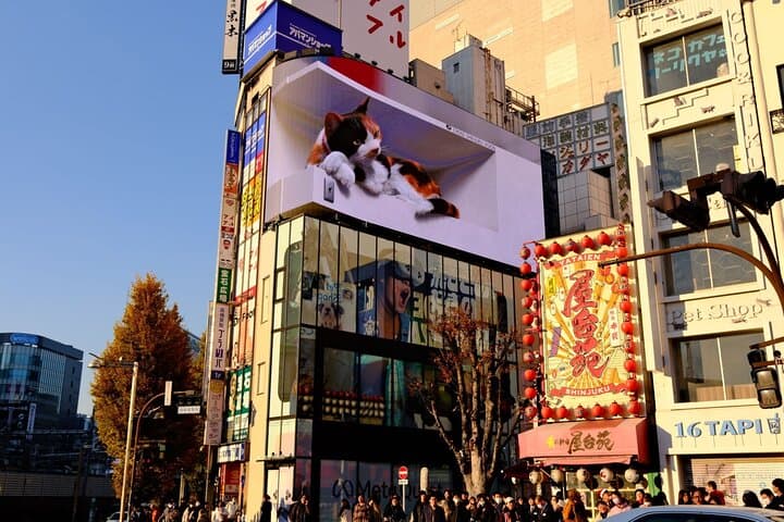 One Day Tour A Your Name Pilgrimage Across Tokyo — photo 10