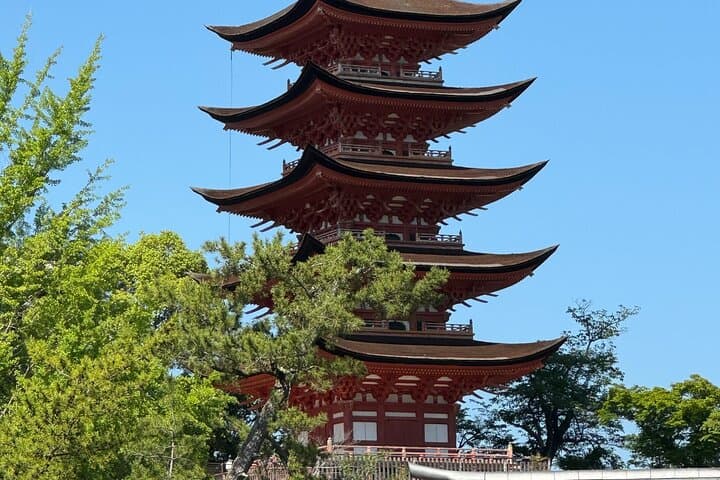 Miyajima Island Day Tour in Sacred Sites and Mount Misen — photo 8
