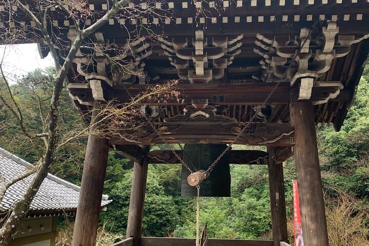 Miyajima Island Day Tour in Sacred Sites and Mount Misen — photo 13