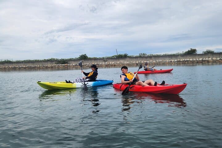 Beginner Friendly Stand Up Paddle Boarding Tour in Awaji Island — photo 5
