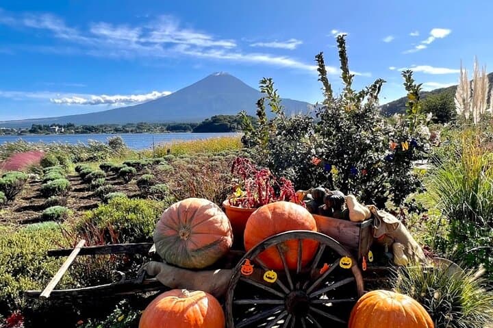 Mount Fuji Full Day Customizable Private Tour with English Guide — photo 8