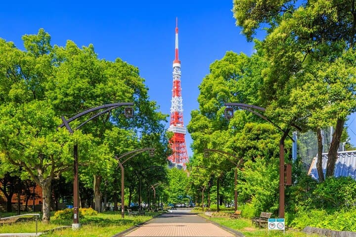 Tokyo Tower Observatory TOP DECK TOUR 150m + 250m (Special Deal) — photo 4