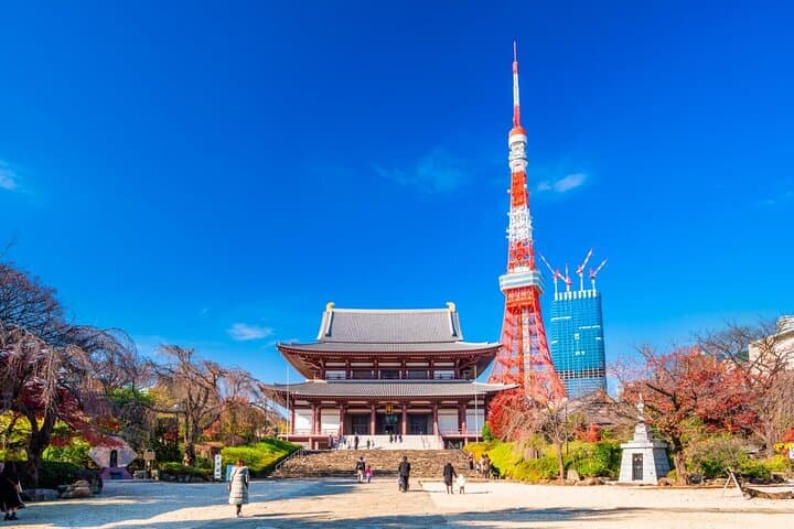 Tokyo Tower Observatory TOP DECK TOUR 150m + 250m (Special Deal) — photo 2