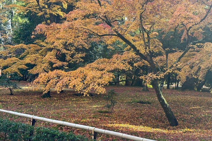 Kyoto Private Sightseeing Tours with English Speaking Driver — photo 5