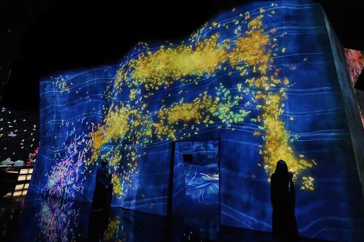 teamLab Planets Tokyo Admission & Tokyo Subway 24-hour Ticket — photo 4