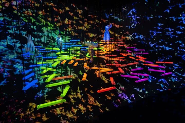teamLab Planets Tokyo Admission & Tokyo Subway 24-hour Ticket — photo 5
