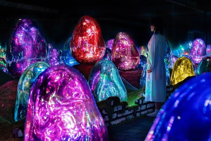 teamLab Planets Tokyo Admission & Tokyo Subway 24-hour Ticket — photo 6