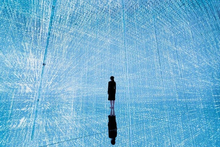 teamLab Planets Tokyo Admission & Tokyo Subway 24-hour Ticket — photo 1