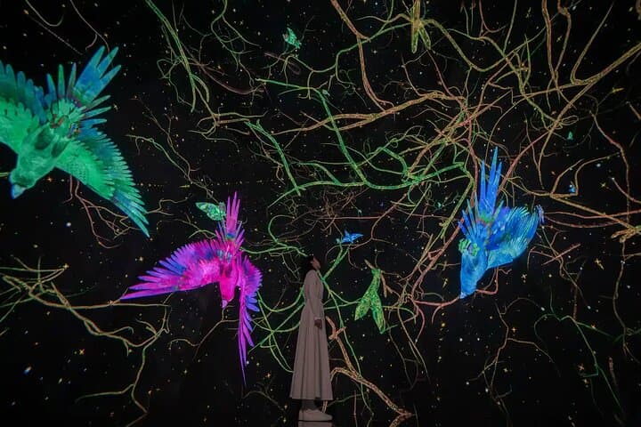 teamLab Planets Tokyo Admission & Tokyo Subway 24-hour Ticket — photo 9