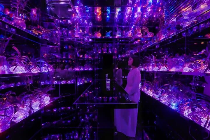 teamLab Planets Tokyo Admission & Tokyo Subway 24-hour Ticket — photo 10