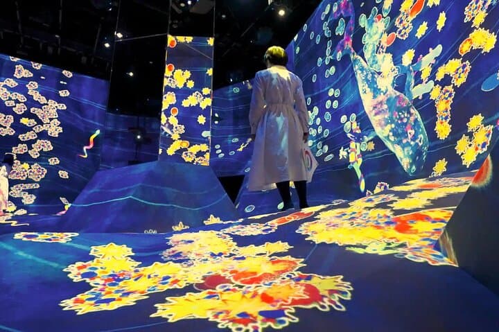 teamLab Planets Tokyo Admission & Tokyo Subway 24-hour Ticket — photo 12