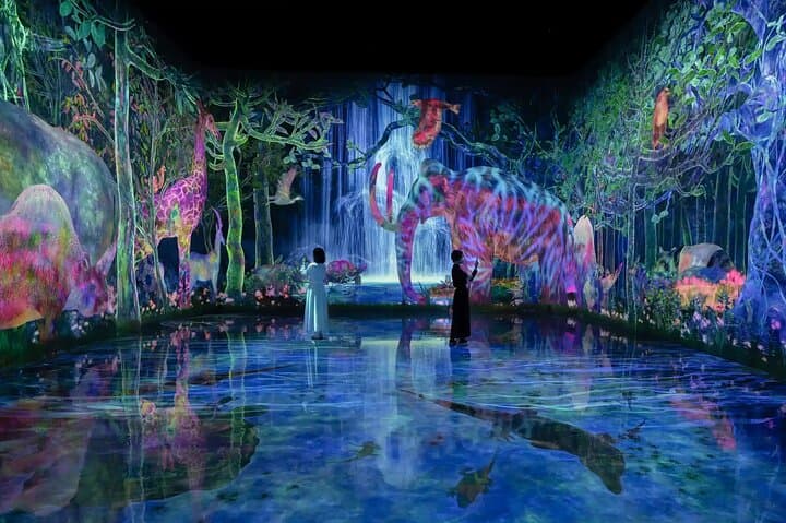 teamLab Planets Tokyo Admission & Tokyo Subway 24-hour Ticket — photo 13