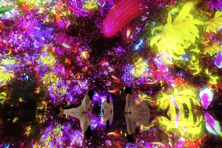 teamLab Planets Tokyo Admission & Tokyo Subway 24-hour Ticket — photo 14