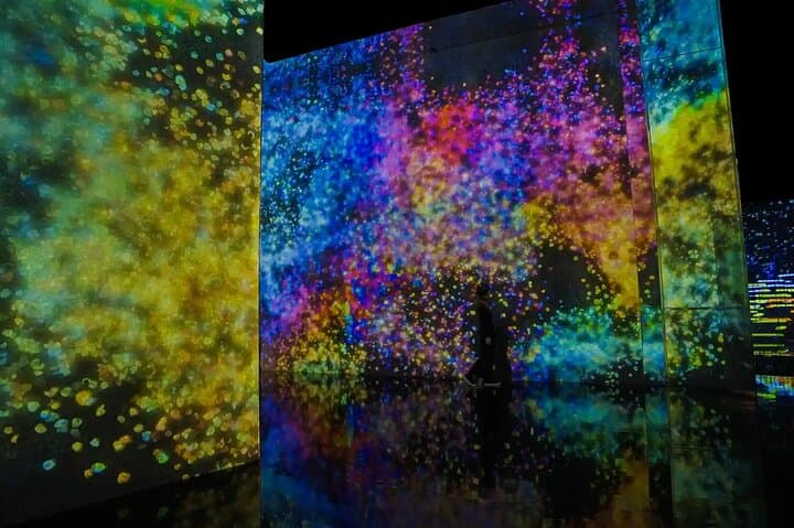 teamLab Planets Tokyo Admission & Tokyo Subway 24-hour Ticket — photo 15