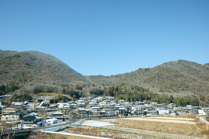 "Tamba-yaki" Ancient Kilns Guided Tour by Local Pottery Artist — photo 17