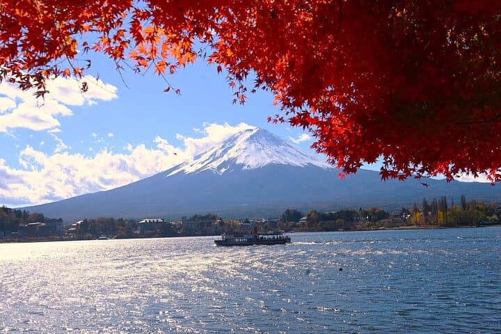 Mt.Fuji Private Day Trip from Tokyo with Driver & Top Photo Spots — photo 4