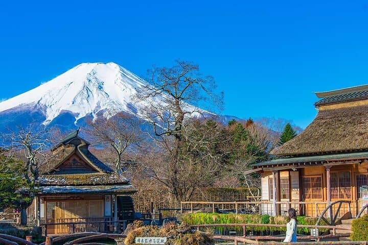 Mt.Fuji Private Day Trip from Tokyo with Driver & Top Photo Spots — photo 9