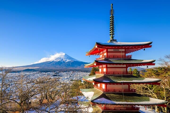 Mt.Fuji Private Day Trip from Tokyo with Driver & Top Photo Spots — photo 6