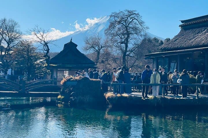 Mt.Fuji Private Day Trip from Tokyo with Driver & Top Photo Spots — photo 10