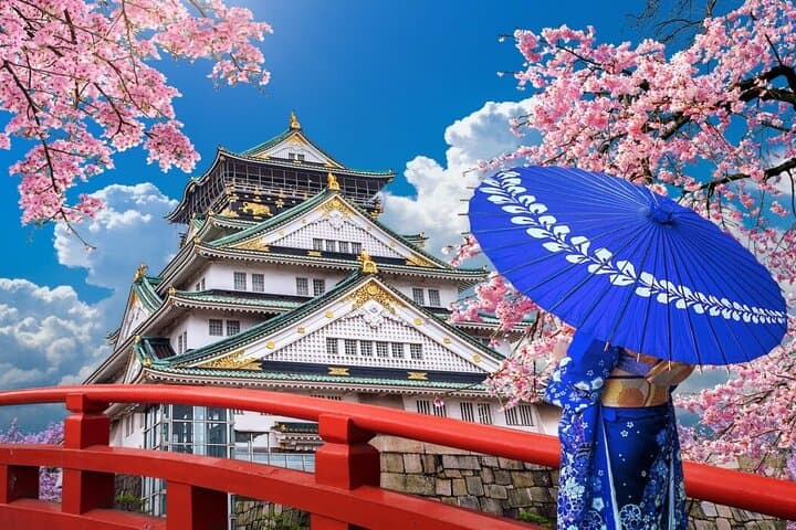 Osaka Castle Ticket — photo 2