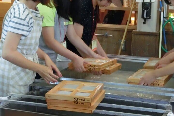 YokaBus A Day in Tea Fields Yame and Yanagawa River Boat — photo 16