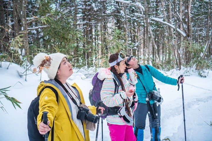 Snowshoe to Spectacular Winter Ice Caves in Hokkaido — photo 3