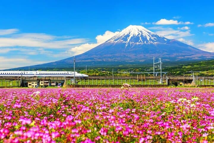 Mt. Fuji to Lake Kawaguchi, Lake Yamanaka and Onsen Day Tour — photo 2