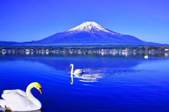Mt. Fuji to Lake Kawaguchi, Lake Yamanaka and Onsen Day Tour — photo 7