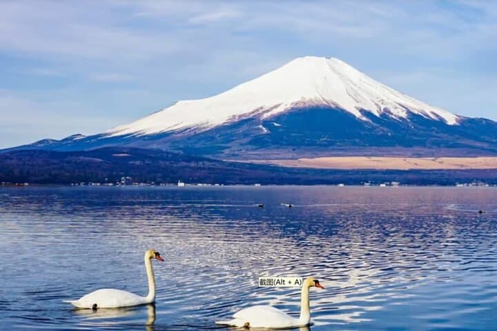 Mt. Fuji to Lake Kawaguchi, Lake Yamanaka and Onsen Day Tour — photo 8