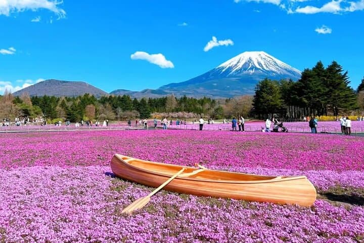 Mt. Fuji to Lake Kawaguchi, Lake Yamanaka and Onsen Day Tour — photo 9