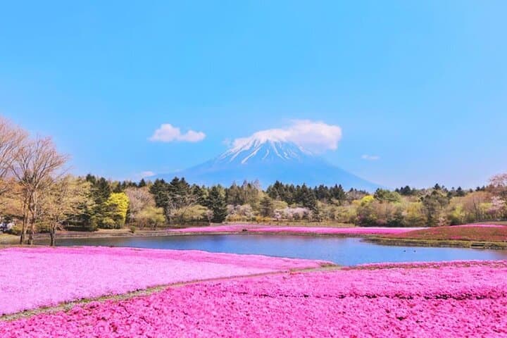 Mt. Fuji to Lake Kawaguchi, Lake Yamanaka and Onsen Day Tour — photo 10