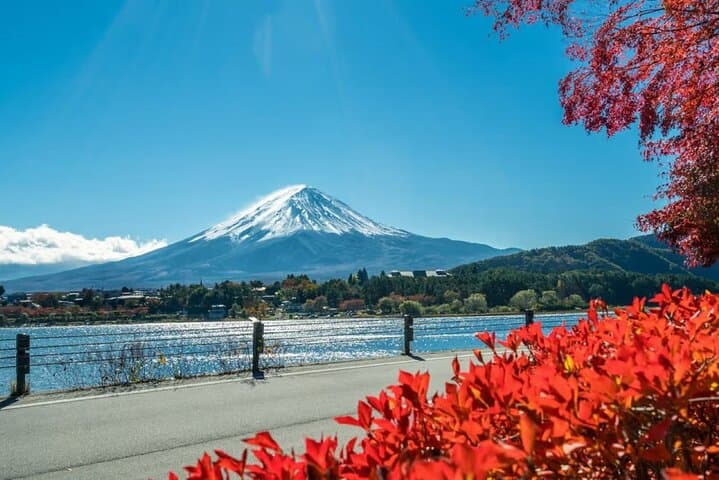 Mt. Fuji to Lake Kawaguchi, Lake Yamanaka and Onsen Day Tour — photo 11