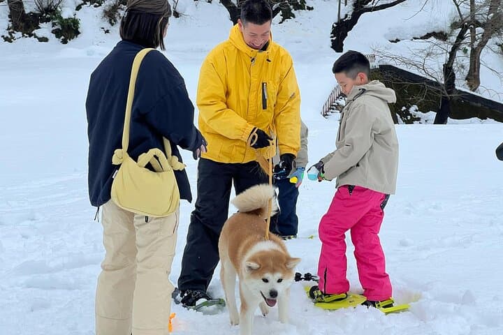Snowshoe Experience in Akita Yuzawa Winter Park with an Akita Dog — photo 4