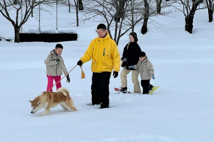 Snowshoe Experience in Akita Yuzawa Winter Park with an Akita Dog — photo 5