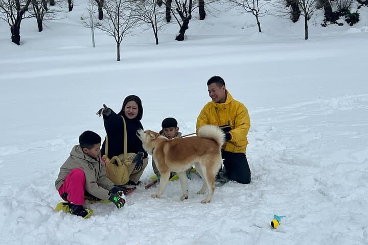 Snowshoe Experience in Akita Yuzawa Winter Park with an Akita Dog — photo 6