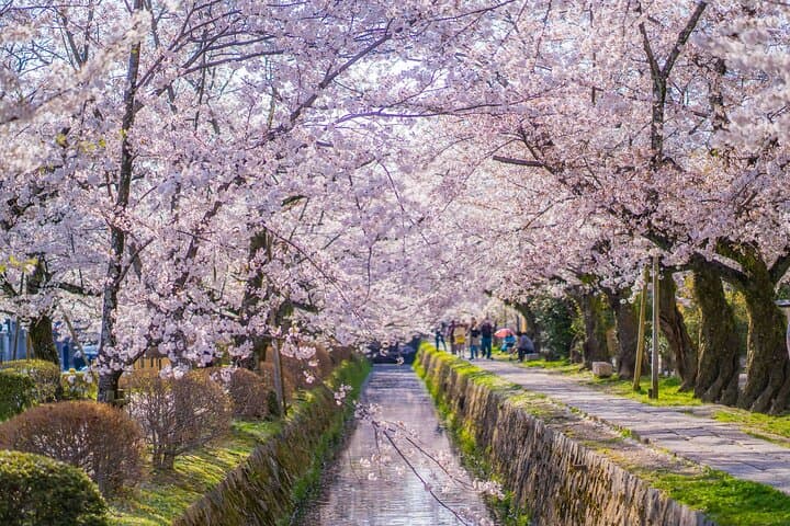Kyoto Higashiyama E-Bike Tour *Private, Pick up from/to Hotel — photo 2