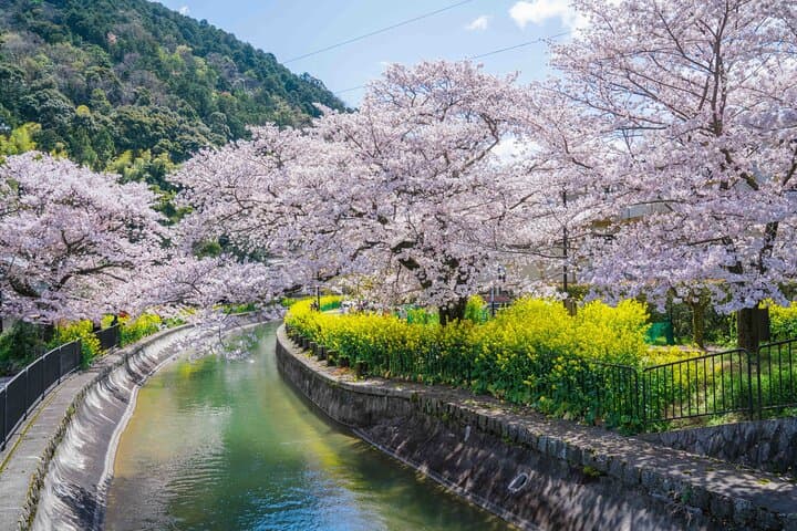Kyoto Higashiyama E-Bike Tour *Private, Pick up from/to Hotel — photo 5