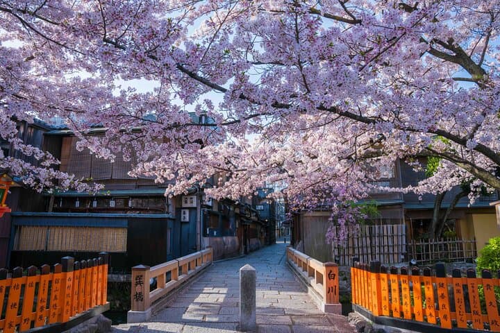 Kyoto Higashiyama E-Bike Tour *Private, Pick up from/to Hotel — photo 13