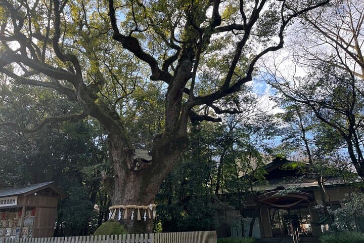 Nagoya: Best & Hidden Gems Private Guided Tour — photo 11