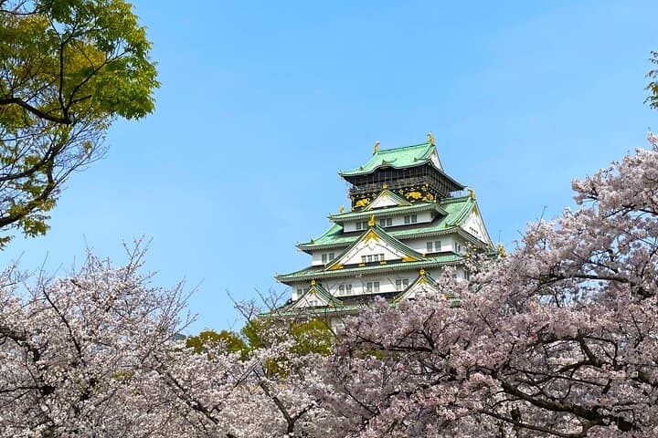 Osaka Private Custom Walking Tour — photo 18