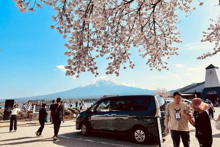 Mt.Fuji Private Day Trip from Tokyo with Driver & Top Photo Spots — photo 8