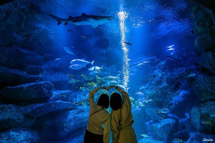 Sumida Aquarium Ticket Tokyo — photo 2