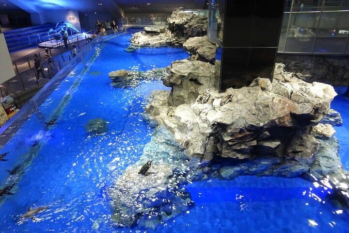 Sumida Aquarium Ticket Tokyo — photo 3