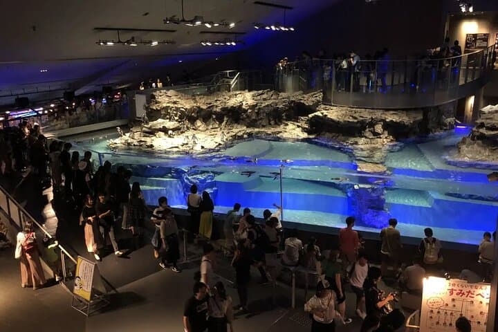 Sumida Aquarium Ticket Tokyo — photo 4