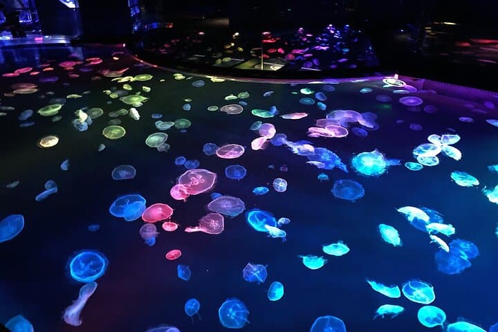 Sumida Aquarium Ticket Tokyo — photo 5