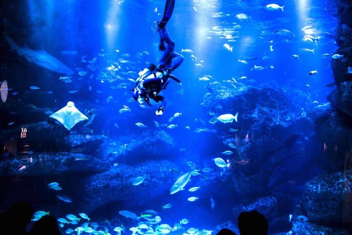 Sumida Aquarium Ticket Tokyo — photo 7