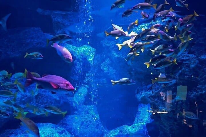 Sumida Aquarium Ticket Tokyo — photo 8