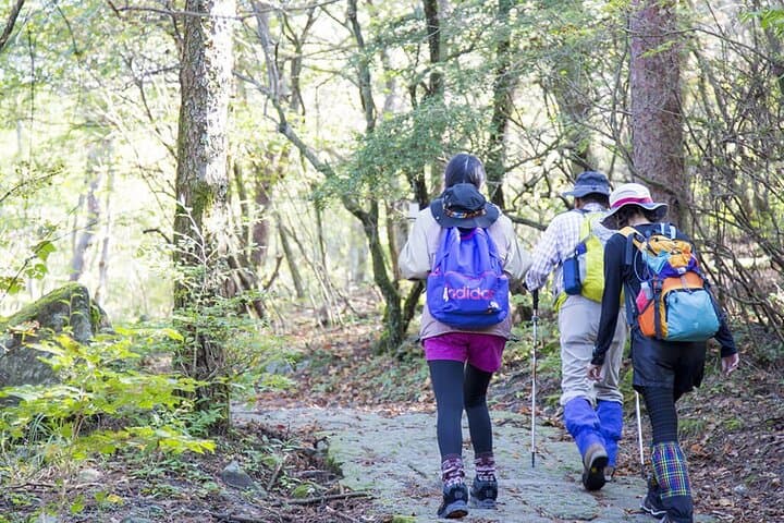 Active Volcano Hiking Tour: Mt. Shinmoe, Miyazaki–Kagoshima,Japan — photo 5