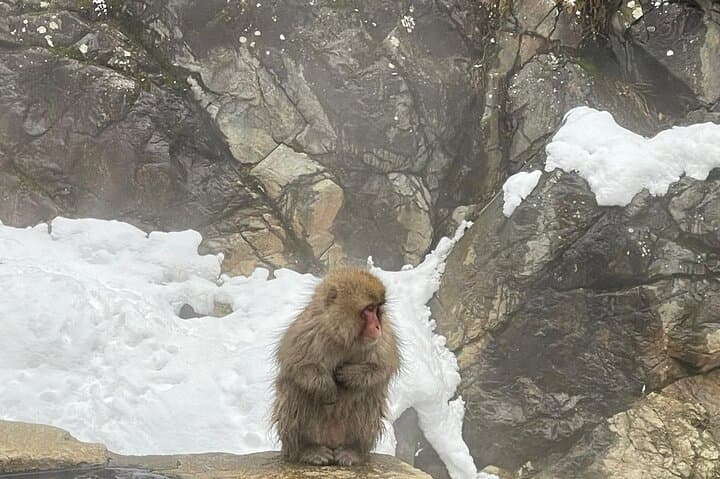 Private Tour to Snow Monkey, Zenkoji Temple & Hot Springs Nagano — photo 7