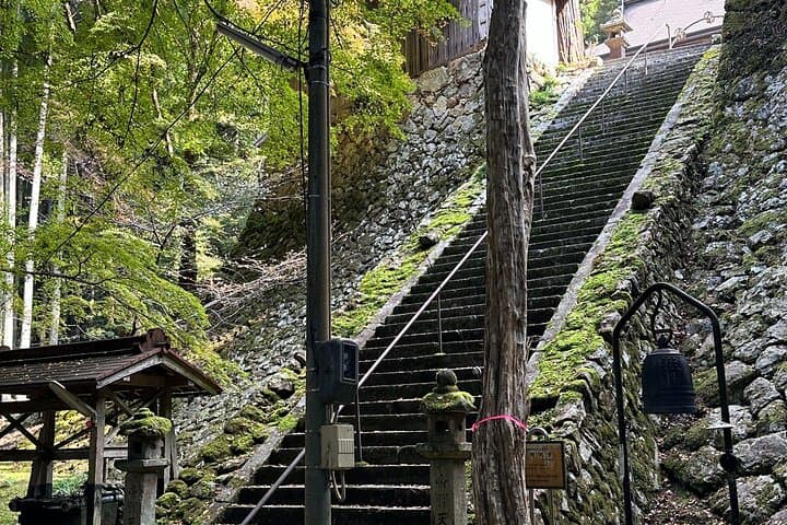 Kyoto Satoyama Cycling with Lunch and English guide — photo 6